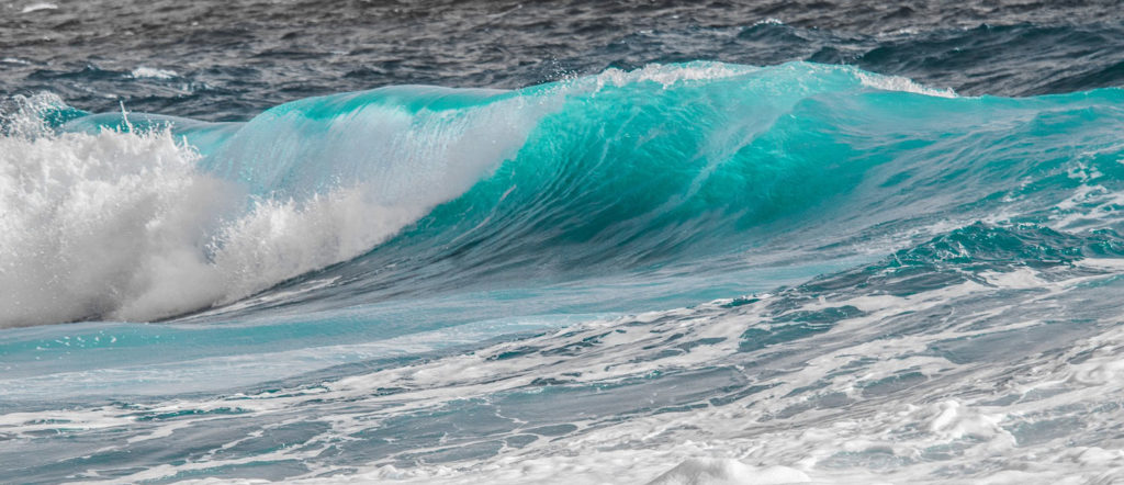 Torquay surf